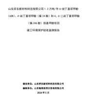 山東祥東新材料科技有限公司1.2萬噸/年6-叔丁基鄰甲(60K)、4-叔丁基鄰甲酚(偏 24 酚)和 4，6-二叔丁基鄰甲酚(偏 246 酚)烷基甲酚項目竣工環(huán)境保護驗收監(jiān)測報告